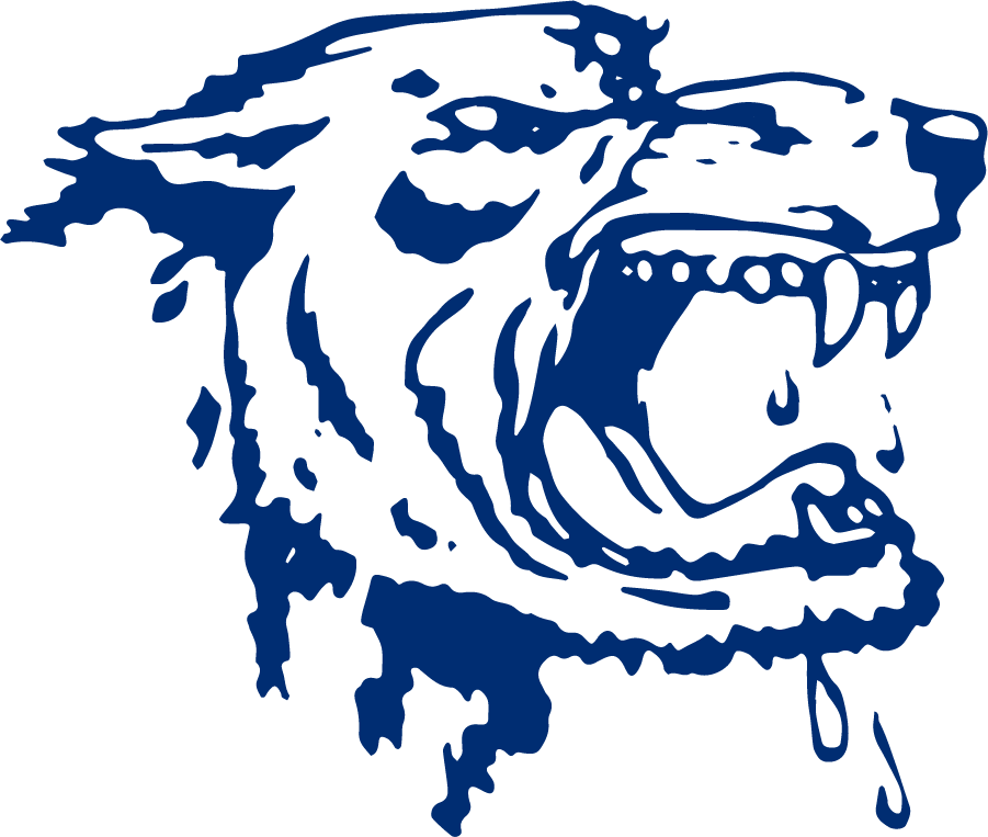 Nevada Wolf Pack 1971-1983 Alternate Logo diy iron on heat transfer